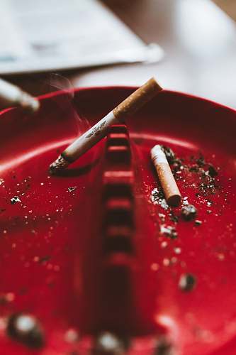 ashtray shallow focus photo of white cigarette stick on red ashtray tulsa